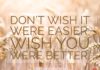 Wish you were better