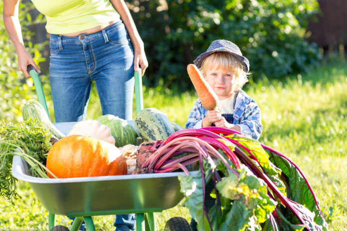 How do we encourage kids to make healthy food choices