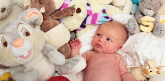 stuffed toys