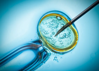 sperm donor